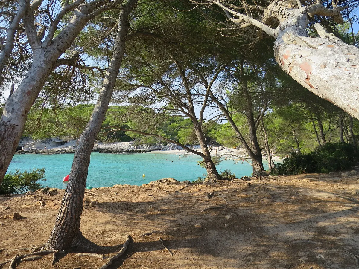 Turquoise water and white sand at Cala en Turqueta in Menorca, the free cove the boat trips also reach